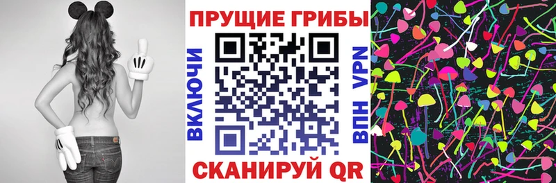 Купить  Соль-Илецк  Псилоцибиновые грибы Magic Shrooms 