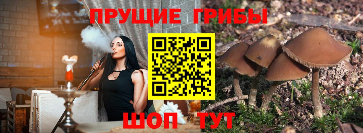 Галлюциногенные грибы ЛСД Соль-Илецк